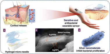 Graphical abstract: An antibacterial sensitive wearable biosensor enabled by engineered metal-boride-based organic electrochemical transistors and hydrogel microneedles