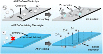Graphical abstract: An in situ polymerized electrolyte layer via frustrated Lewis pairs enables aqueous Zn metal batteries with an ultrahigh accumulated capacity of 12 A h cm−2