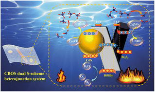 Graphical abstract: Efficient charge separation and transfer in a CdS/BiOBr/Bi2S3 heterojunction via a dual S-scheme mechanism and photothermal effect for enhanced Cr(vi) photoreduction