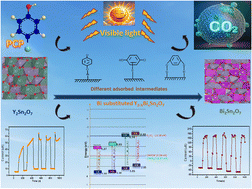 Graphical abstract: Unveiling the effect of structural asymmetry on photocatalytic performance: Bi-substituted Y2Sn2O7 system with mechanistic insight
