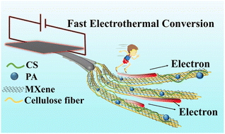 Graphical abstract: Wooden electrothermal composites for fast electrothermal conversion