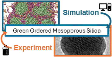 Graphical abstract: Computer-aided development of bio-inspired routes to highly ordered green mesoporous silica