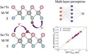 Graphical abstract: Hydrogen adsorption energy trends in Mo/WXY (X, Y = S, Se, Te) regular and Janus TMD monolayers: a first-principles and machine learning study