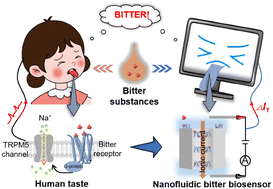 Graphical abstract: A biomimetic nanofluidic tongue for highly selective and sensitive bitterness perception