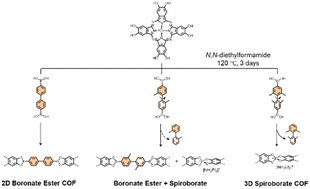 Graphical abstract: Influence of methyl substitution on linear diboronic acids: toward spiroborate covalent organic framework formation in N,N-diethylformamide
