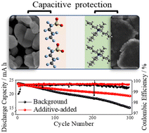 Graphical abstract: An ionic protector to proactively mitigate interfacial degradation induced by electrolyte decomposition in lithium-ion batteries