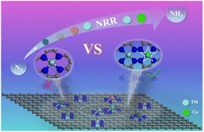 Graphical abstract: Optimizing the electron donation and back-donation effect through the combination of d-block transition metal and s-block calcium atoms for efficient nitrogen fixation