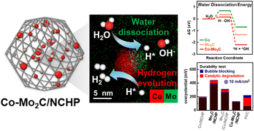Graphical abstract: Cohesive Co and Mo2C heterostructure catalysts strongly confined to hollow carbon support for enhanced kinetics and durability in the alkaline hydrogen evolution reaction