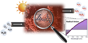 Graphical abstract: Tracking intermediates of photocatalytic hydrogen peroxide generation from a heptazine-based covalent organic polymer in water