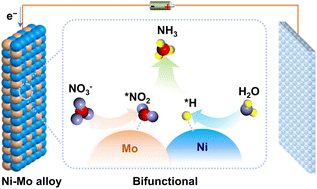Graphical abstract: Electrocatalytic nitrate reduction to ammonia using a bifunctional Ni–Mo alloy catalyst