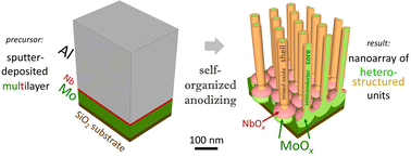 Graphical abstract: MoOx-based high-density nanoarrays on a substrate via smart anodizing as novel 3D electrodes for nano-energy applications