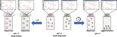 Graphical abstract: Stimuli-responsive core–shell–shell nanocarriers for implant-directed magnetic drug targeting