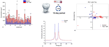 Graphical abstract: Multi-technique computational assessment of fluoride uptake in enamel using PIGE, NEXAFS, and Raman spectroscopy