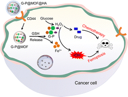 Graphical abstract: A tumor-targeted MOF nanoplatform for synergistic ferroptosis-chemotherapy via cascade-activated enzyme–chlormethine prodrug