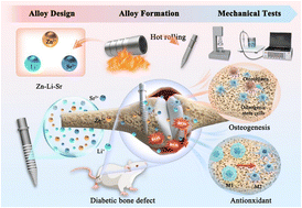 Graphical abstract: Biodegradable Zn–Li–Sr alloy implants with antioxidant properties for improved bone osseointegration under diabetic conditions