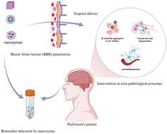 Graphical abstract: Nanozymes in Parkinson's disease: strategic approaches, clinical considerations, and challenges