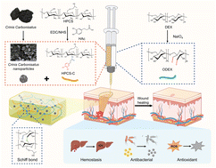 Graphical abstract: Injectable self-healing hydrogels loaded with Crinis Carbonisatus nanoparticles for rapid hemostasis and wound healing