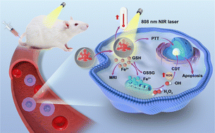 Graphical abstract: Synthesis of polyacrylic acid-coated AuPd@FexOy nanoparticles for synergistic chemodynamic and photothermal therapy of osteosarcoma