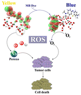 Graphical abstract: Antitumor activity and selectivity of a nanostructured peroxo polyoxoniobate
