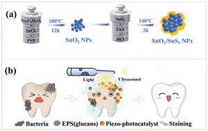 Graphical abstract: Novel yellow light-responsive SnO2/SnS2 piezo-photocatalysts with excellent performances for tooth whitening and biofilm eradication