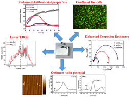 Graphical abstract: Ab initio study of precipitate stability in an Mg–Zn–Zr–Y alloy and its effects on corrosion, antimicrobial and in vitro biocompatibility