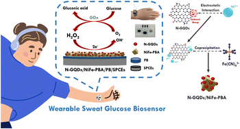 Graphical abstract: Promoting the signal reliability of non-invasive biosensors via a N-doped graphene quantum dot modified Prussian blue analogue protective layer for glucose monitoring