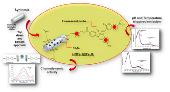 Graphical abstract: Design of halloysite nanotube-based nanomaterials for theranostic applications: fluorescent probes and chemodynamic activity