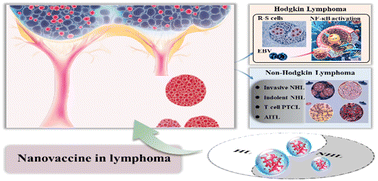 Graphical abstract: Differentiated strategies for nanovaccines in lymphoma immunotherapy: advances and challenges