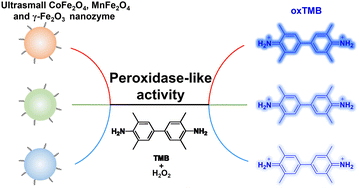 Graphical abstract: Parallel comparative studies on composition-dependent peroxidase-like catalytic activity of ultrasmall ferrite nanoparticles