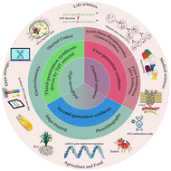 Graphical abstract: Research progress in high-throughput DNA synthesis and its applications