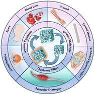 Graphical abstract: Mechanically active biomaterials for tissue repair and regeneration