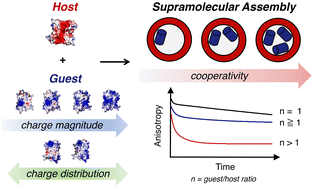 Graphical abstract: Charge engineering controls cooperative assembly and loading in protein host–guest complexes