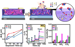 Graphical abstract: Improvement of the chemical and physical gas adsorption ability of poly(3-hexylthiophene) thin films by ultraviolet-ozone exposure