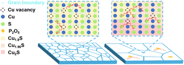 Graphical abstract: Enhanced thermoelectric and mechanical properties of Cu1.8S1−xPx bulks mediated by mixed phase engineering