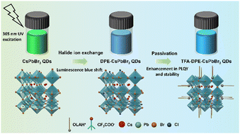 Graphical abstract: Two-step modification of high-performance inorganic perovskite quantum dots for blue light emission