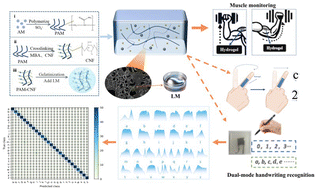 Graphical abstract: A multifunctional, double network cellulose-acrylamide based hydrogel sensor reinforced using a liquid metal for human motion detection and dual-mode handwriting recognition via a transfer learning algorithm