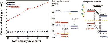 Graphical abstract: Construction of a SnSe/SnSe2 heterojunction for superior photoelectrochemical photodetectors
