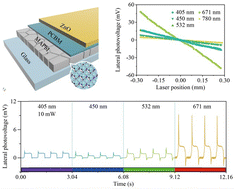 Graphical abstract: An electron-dominated lateral photovoltaic effect in ZnO-based perovskite heterojunctions and its performance tunability by pyroelectric effect