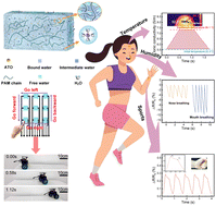 Graphical abstract: Design of moisturizing and frost-resistant ionic hydrogels for multimodal sensing through water-stabilizing effects