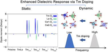 Graphical abstract: Theoretical design of dielectric enhancement in Tm-doped LaCOB crystals