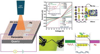 Graphical abstract: Asymmetric contact enabled self-powered flexible photodetector utilizing formamidinium-based perovskite with a 2D MXene electrode