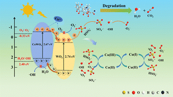 Graphical abstract: Cu-doped CoWO4/WO3 heterojunctions as peroxymonosulfate activators for rapid degradation of organic pollutants