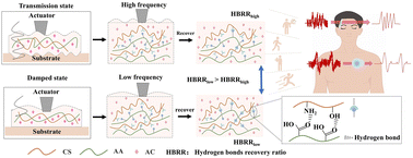 Graphical abstract: A damping hydrogel with high water retention and strong adhesion for precise bioelectric signal detection
