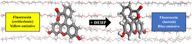 Graphical abstract: Old dog, new trick: discovery of the solid-state phthalate detection capabilities of fluorescein