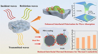 Graphical abstract: Hierarchical Co–C@PDA@BN/PAM composites: synergistic enhancement of microwave absorption and thermal conductivity through heterostructure design
