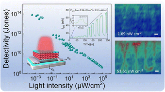 Graphical abstract: Heterojunction floating-gate phototransistors for ultraweak short-wavelength infrared photodetection