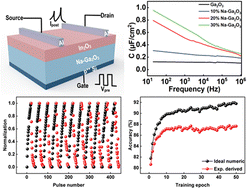 Graphical abstract: Na-doped Ga2O3 electrolyte-gated synaptic transistors for neuromorphic computing