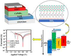 Graphical abstract: A high-performance self-powered CsPbBr3 perovskite photodetector enabled by self-assembled monolayer interface engineering