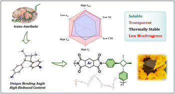 Graphical abstract: Soluble, colorless and biobased polyimides with high thermal stability derived from renewable anethole