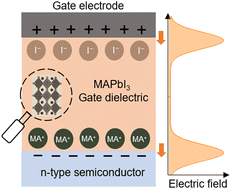 Graphical abstract: Metal halide perovskites as gate dielectrics for transistor applications: progress and perspectives